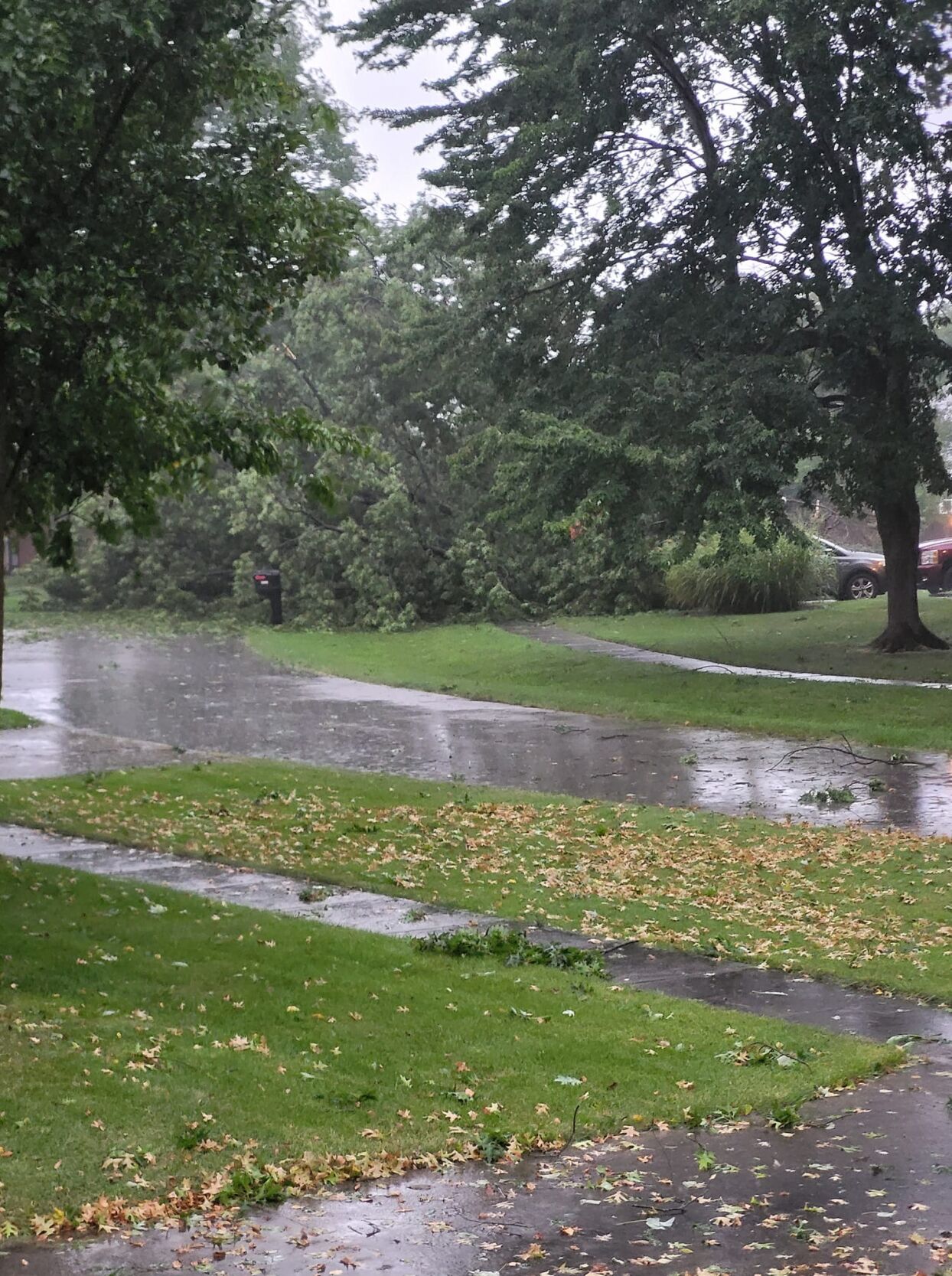 Mike Reid - Jtown storm damage - Aug. 25, 2023.jpg