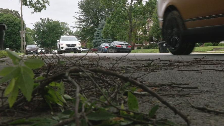 NORISS AND DOUGLAS LOOP BIKE LANES