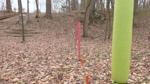 Arrowhead Disc Golf Course Property Line