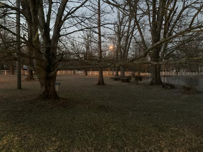 UOFL MAPLE TAPPING PROJECT - SYRUP - KK 1-13-2021 (2).JPG