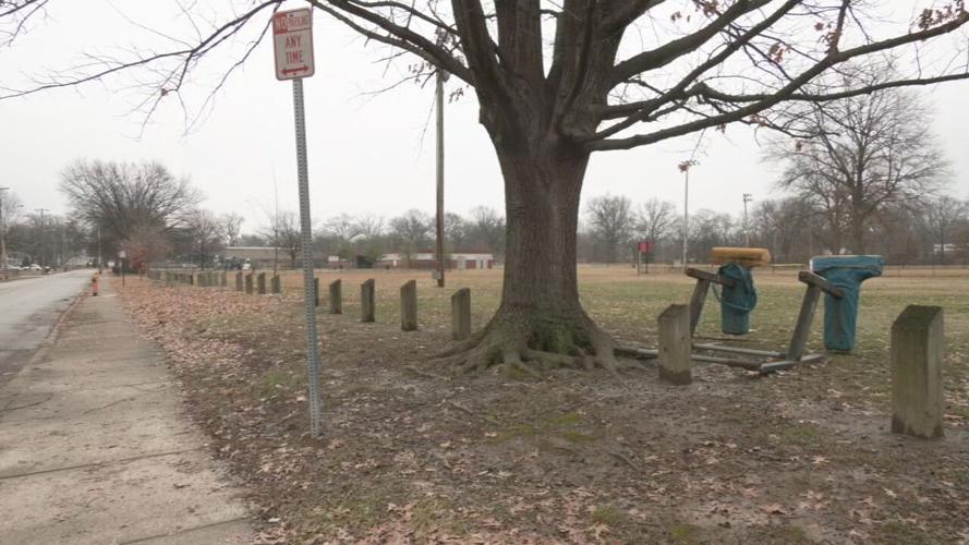 U OF L TREE AND HEALTH STUDY