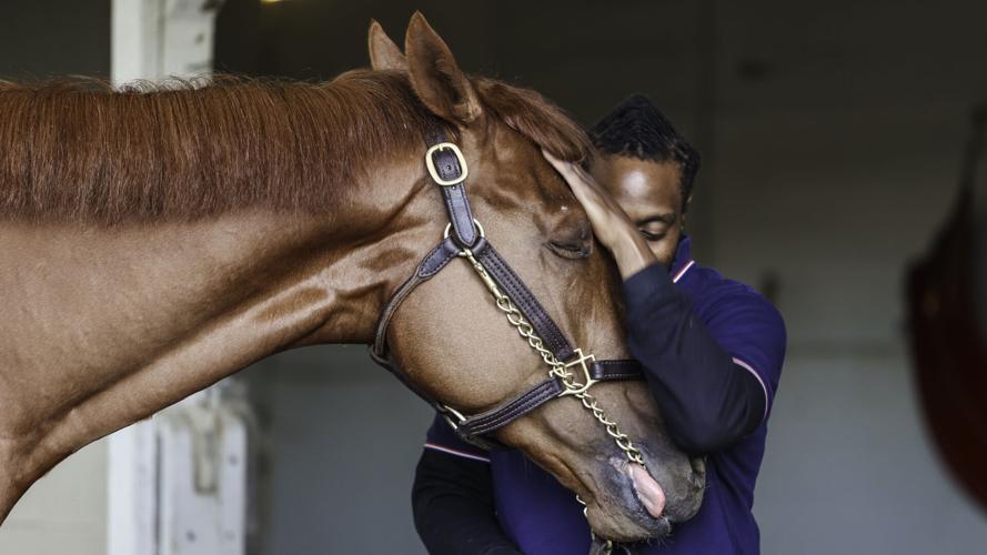 Rich Strike and groom