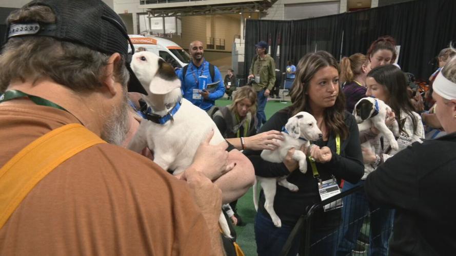 Mulligan's Mutt Madness adoption event 10-19-23