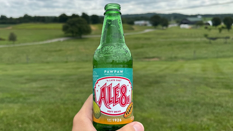 Pawpaw Ale-8-One