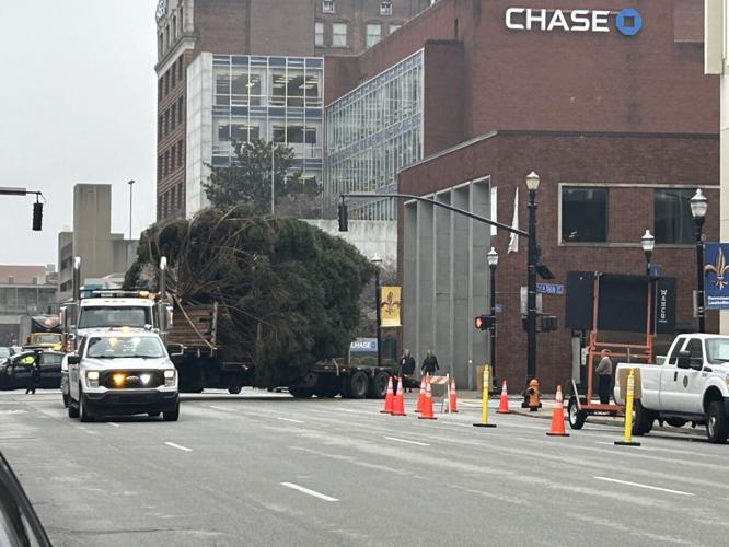 LIGHT UP LOUISVILLE TREE ARRIVES.jpg