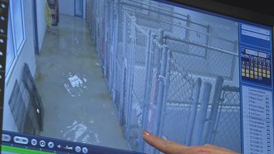 animal shelter flooding