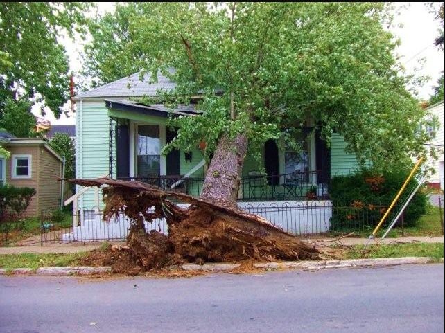 Baxter ave nwslouisville.PNG