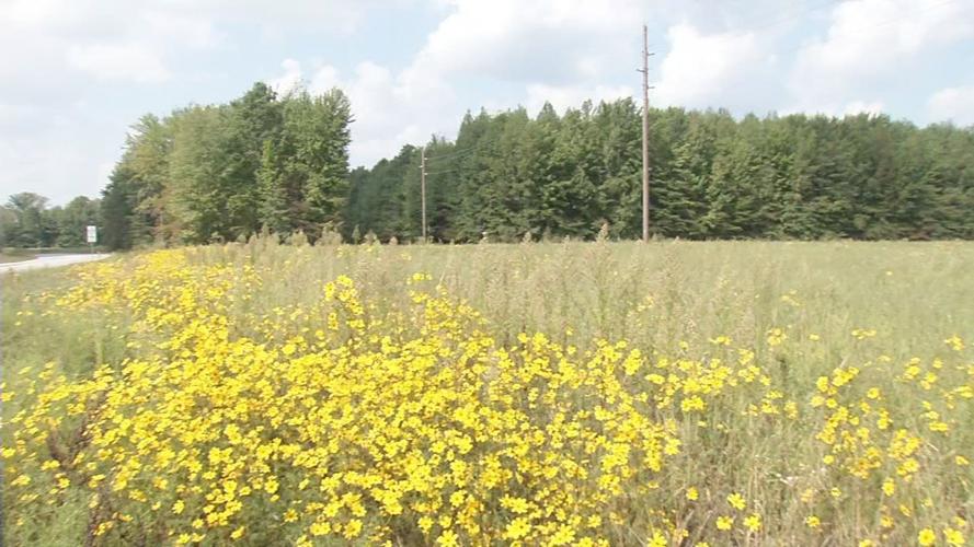 Future Site of Jefferson County Jail