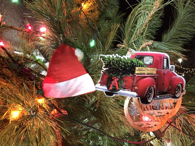 JUDE'S JINGLE TREE 2021 (11).jpg