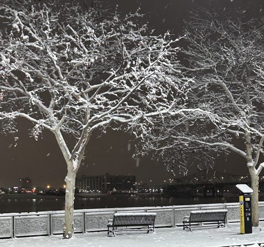 Snow in downtown Louisville
