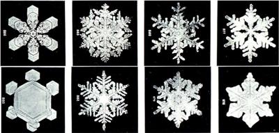 HOW DO SNOWFLAKES FORM? Get The Science Behind Snow...