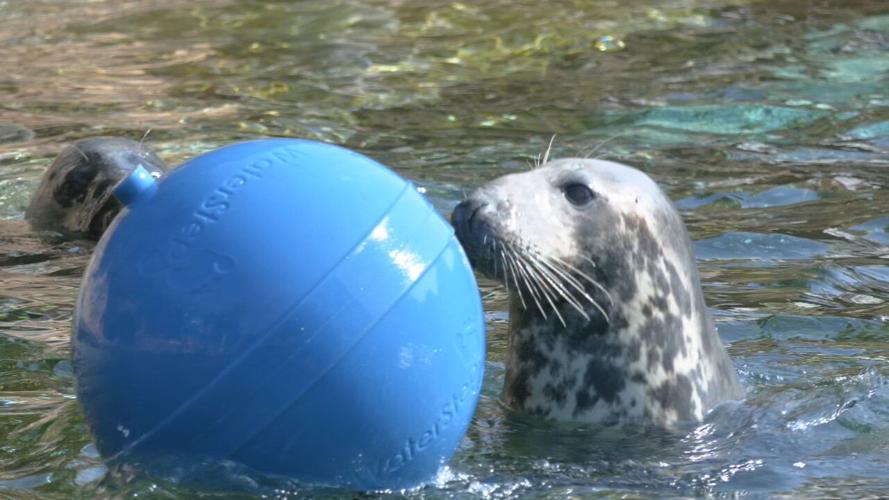 WATER DAY AT THE ZOO (1).jpeg
