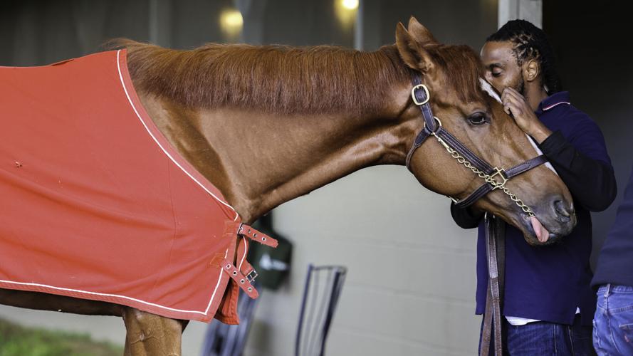 Rich Strike and groom