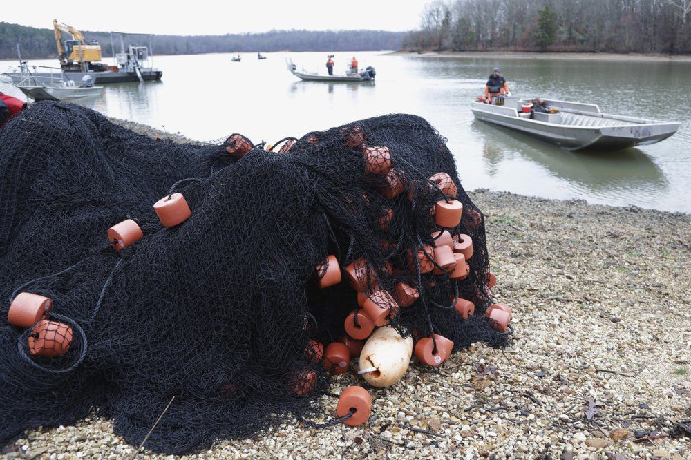 Public hearings asian carp 2018