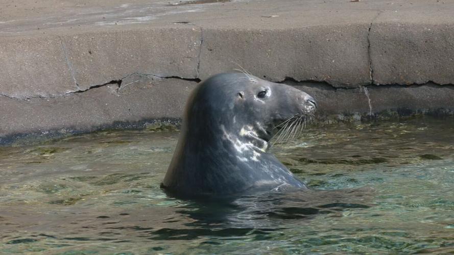 WATER DAY AT THE ZOO.jpeg