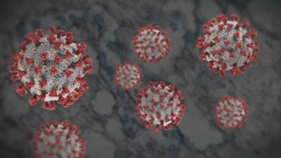 Uk Healthcare Says Software Flaw Led To 26 False Positive Covid 19 Tests Coronavirus Wdrb Com