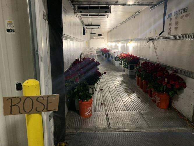 Derby 149 roses 5-3-23