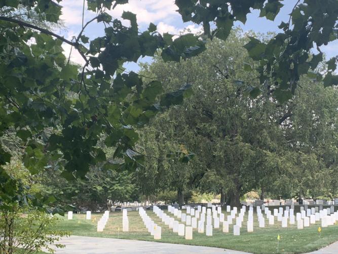 HONOR FLIGHT - VALERIE CHINN - 9-4-19 14.jpg
