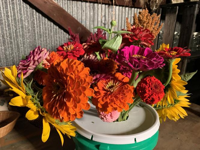 135 IN Bloom (2).JPG