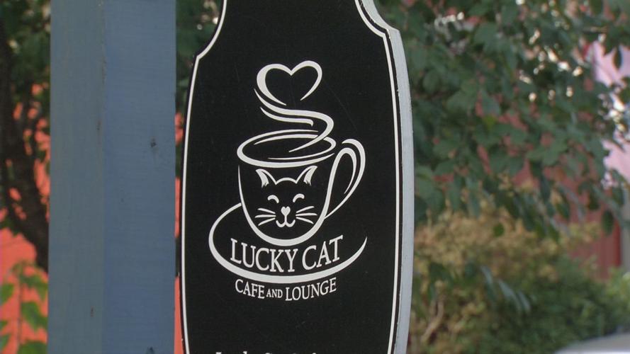 The Lucky Cat Cafe & Lounge