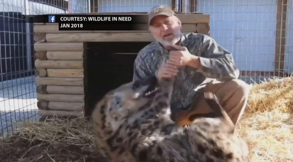 Punched Sloth And Stomped Tiger Charlestown Zoo Owner Responds To Abuse Alleged In New Suit News Wdrb Com