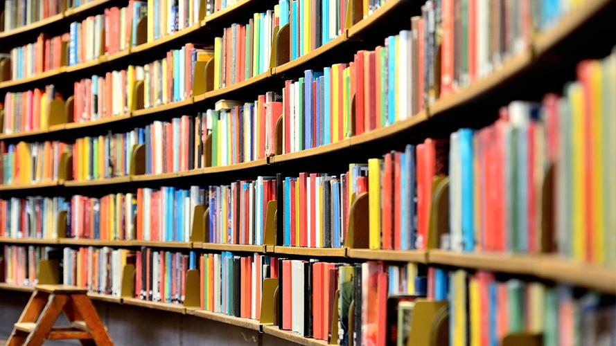 LIBRARY - BOOKS - BOOK SHELF - GENERIC
