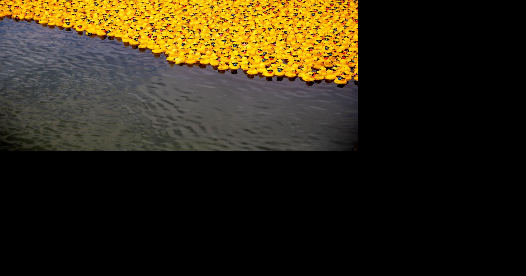 Ken-Ducky Derby sends thousands of rubber ducks down Ohio River for charity