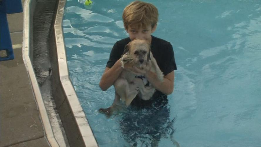 Doggie Dip - Boy with Pooch in Pool