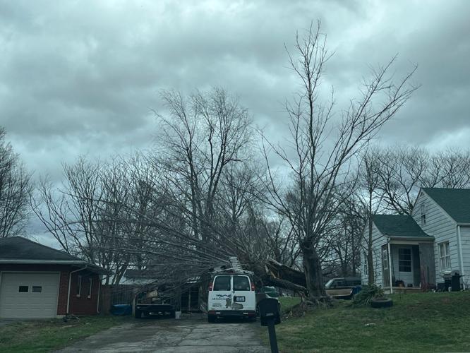 IRVINGTON STORM DAMAGE - 3-3-2023.jpg