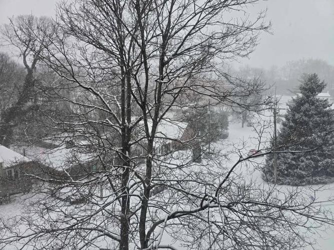 SNOW ON BROWNSBORO ROAD - JAN. 5, 2025