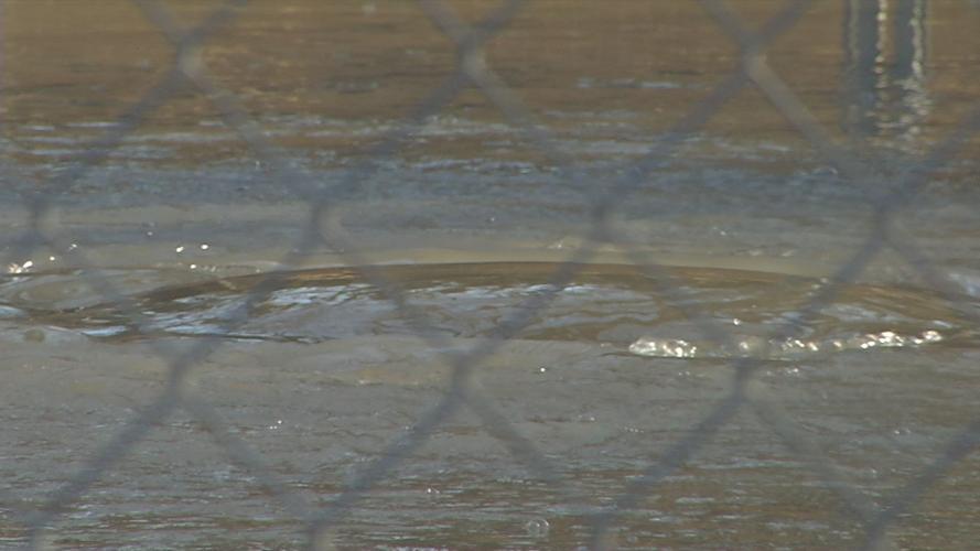 HARRODS CREEK UPDATE 12-13-19.jpg