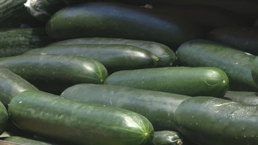 Generic cucumbers