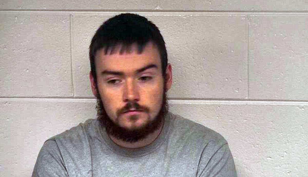 Police say Carrollton man physically abused 2yearold and posted video