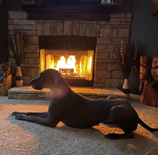 SNOW - ZINA THE DOG WITH A FIRE -- FROM CHRISSY HOWARD.jpg