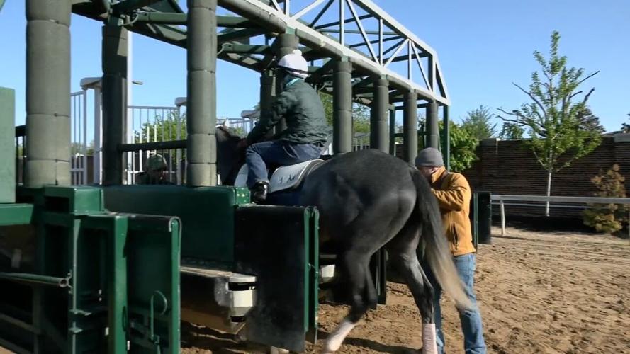 Horses being loaded into starting gate - from clip - used on 5.2.23