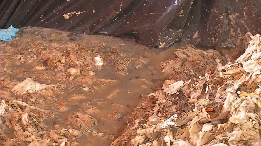 MSD: What not to flush down the toilet