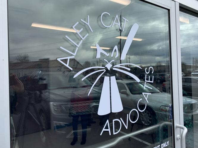 ALLEY CAT ADVOCATES - NEW BUILDING 2-13-2020  (17).jpg