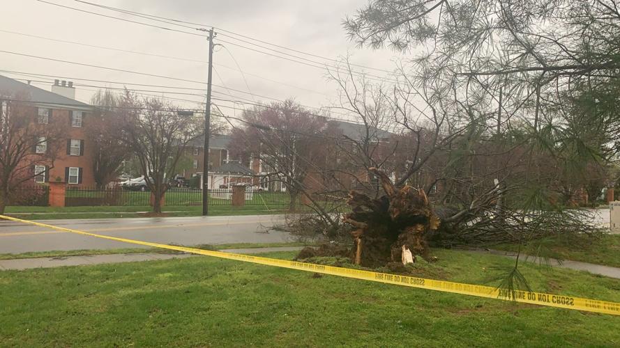 KATRINA NICKELL - STORM DAMAGE - BASHFORD MANNER - APRIL 5, 2023.jpg