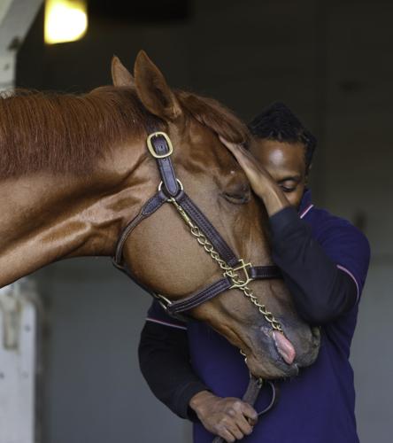 Rich Strike and groom