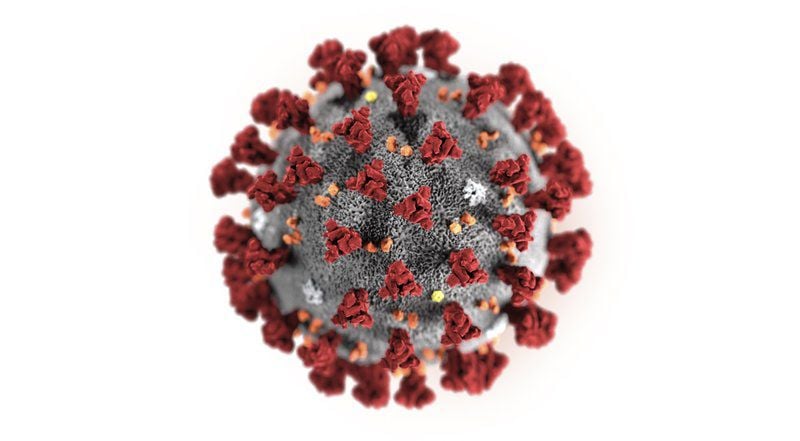 CORONAVIRUS - AP GENERIC FILE - AP.jpeg