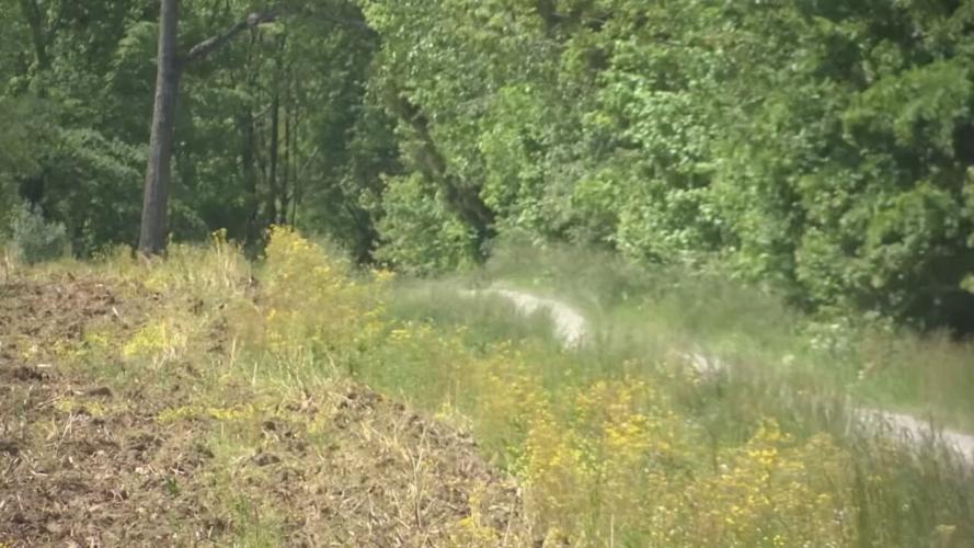 Three shot in 5700 of US 62 West in Ohio County.jpeg