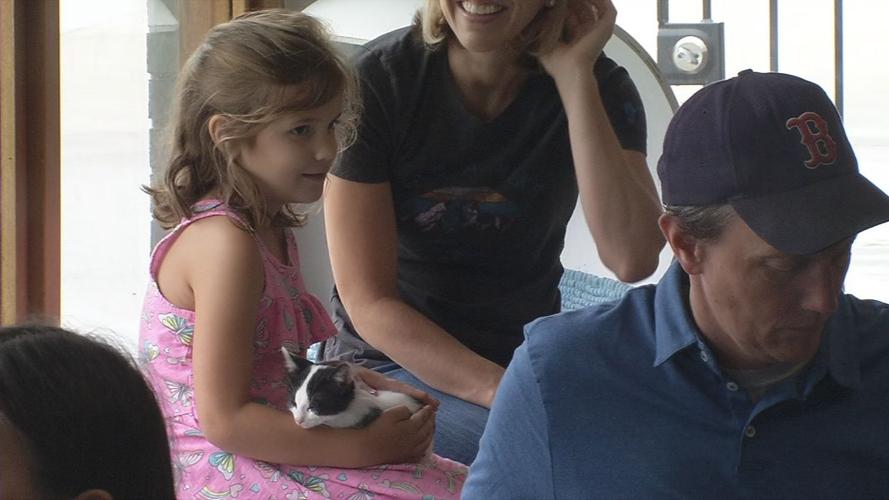 Child with cat at Purrfect Day Cafe