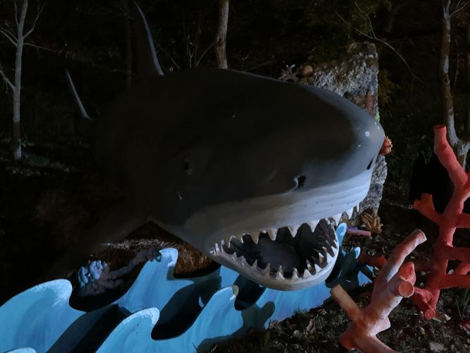 HALLOWEEN AT THE ZOO - KEITH KAISER 10-22-19   (6).jpeg