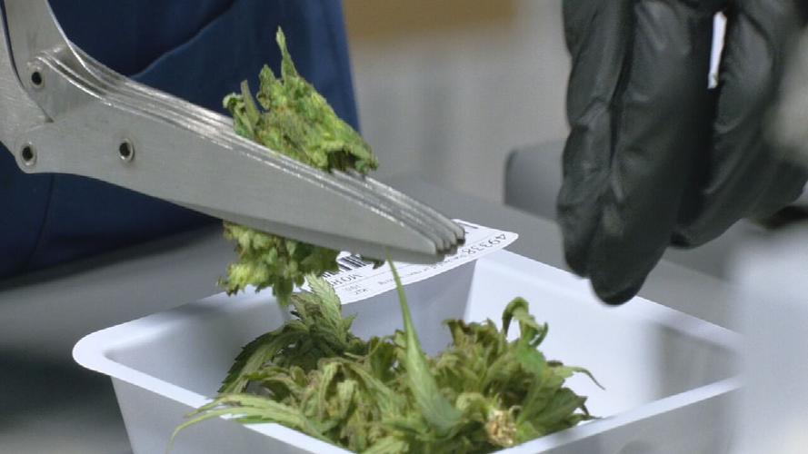 KENTUCKY CANNABIS PASSED