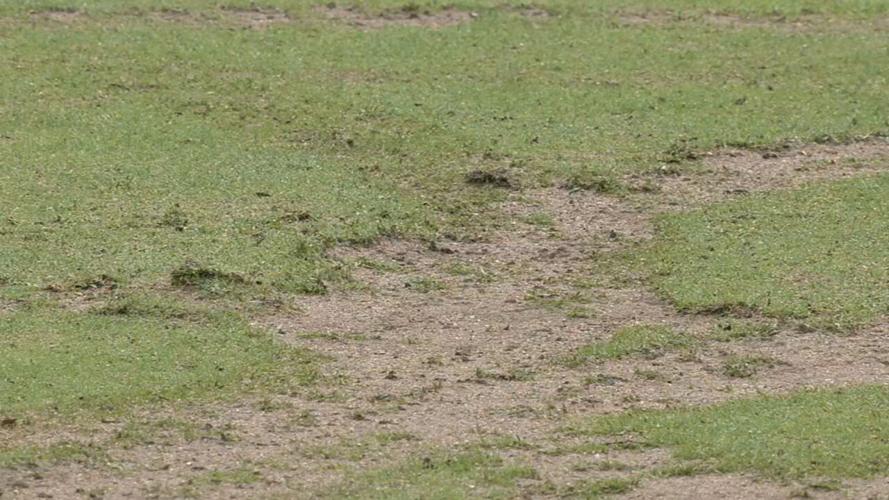 SUN VALLEY GOLF COURSE DAMAGE (4).jpeg