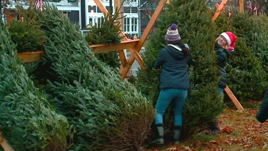 GIRLS SCOUT CHRISTMAS TREES STOLEN 12-2-19.jpg