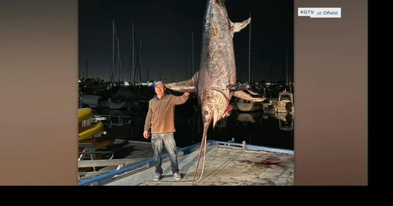 California fisherman reels in a catch fit for the record books
