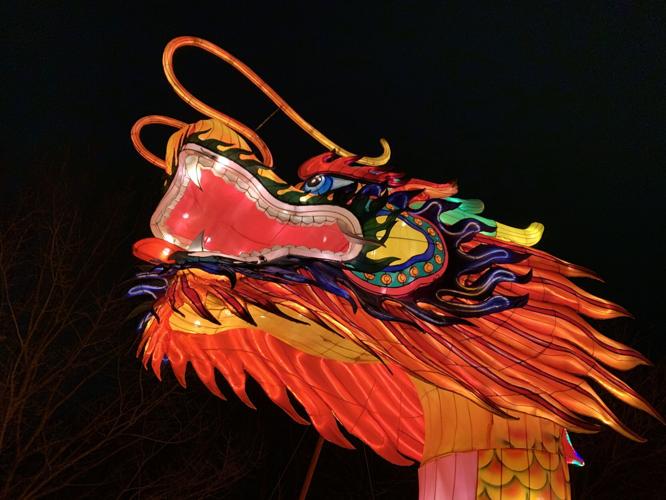 Wild Lights at Louisville Zoo