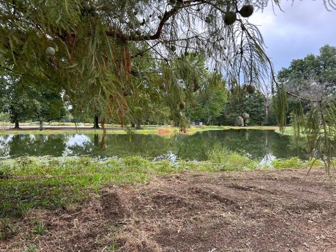 New Chickasaw Park Pond