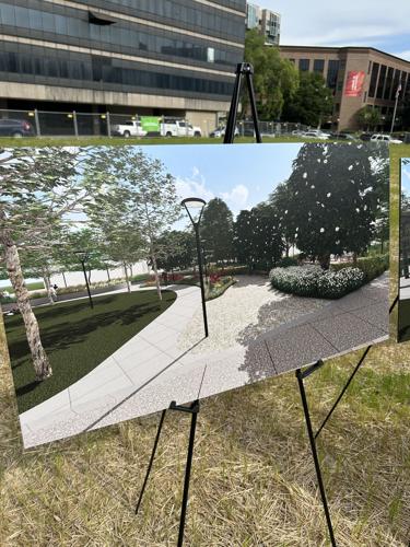 Lou med commons-3.jpg